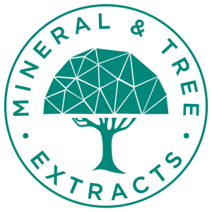 Mintree India
